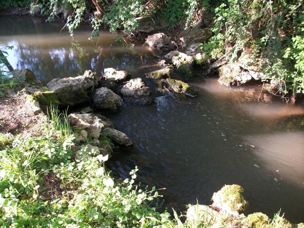 Aulnoy Chambre D'Hote Moulin Du Ru מראה חיצוני תמונה